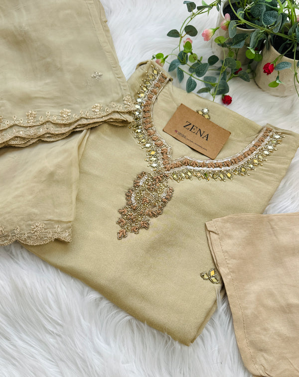 ✨ Tissue Silk Handwork Suit ✨