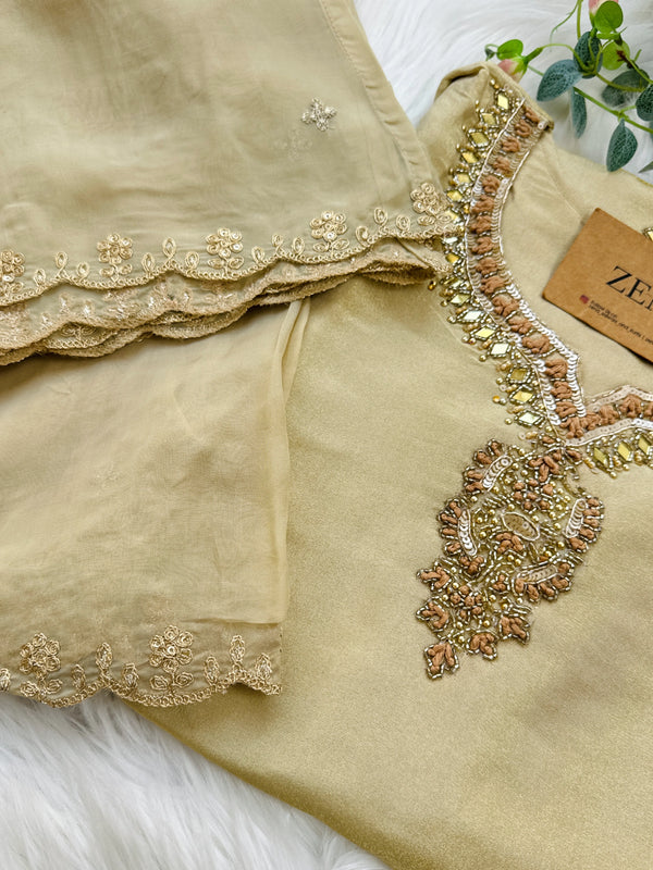 ✨ Tissue Silk Handwork Suit ✨