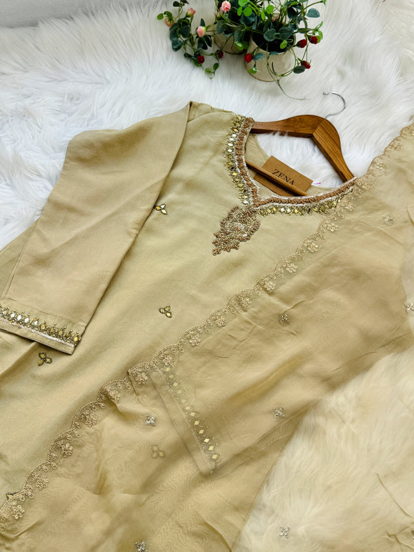 ✨ Tissue Silk Handwork Suit ✨