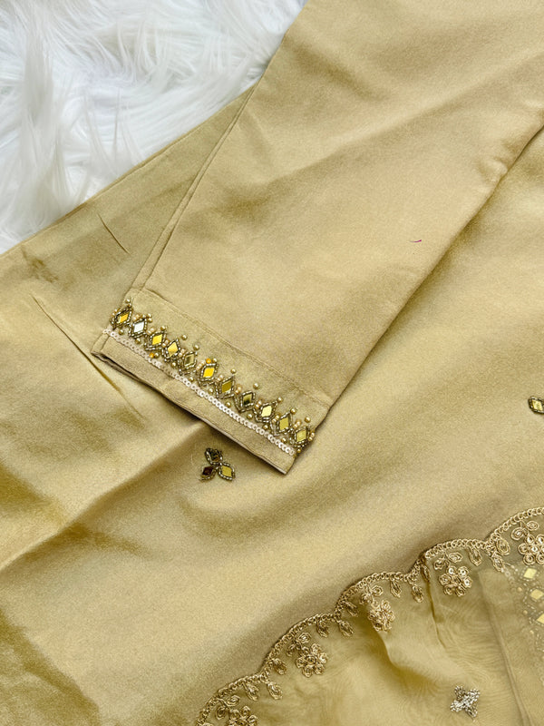 ✨ Tissue Silk Handwork Suit ✨