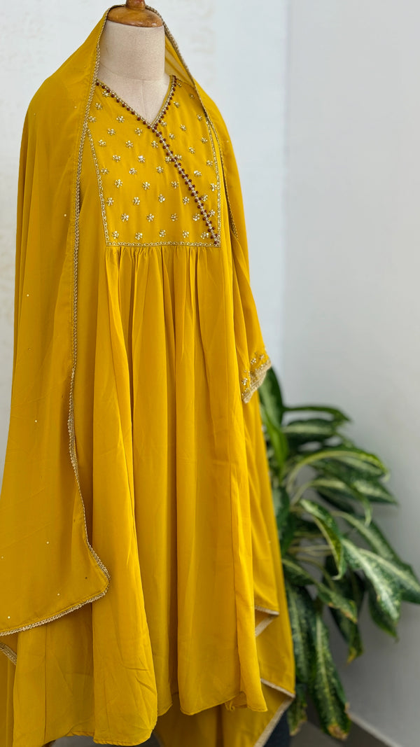 ✨ Organza Hand-Detailed Kurti Set ✨