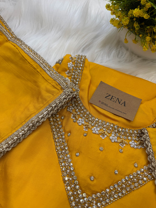 ✨ Organza Handwork Party Wear Set ✨