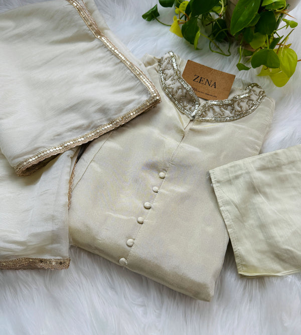 Tissue Silk Hand Detailed Kurti Set with Organza Dupatta – Celebrate in Graceful Luxury