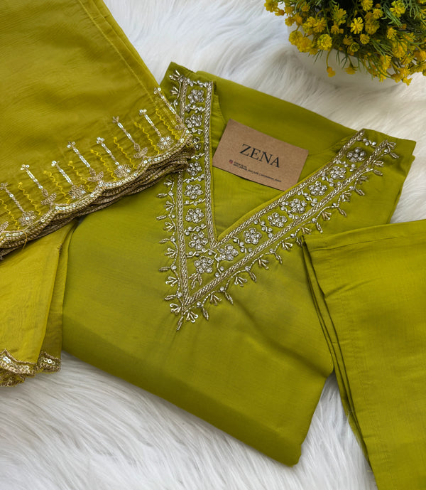 ✨ Organza Handwork Party Wear Kurti Set ✨