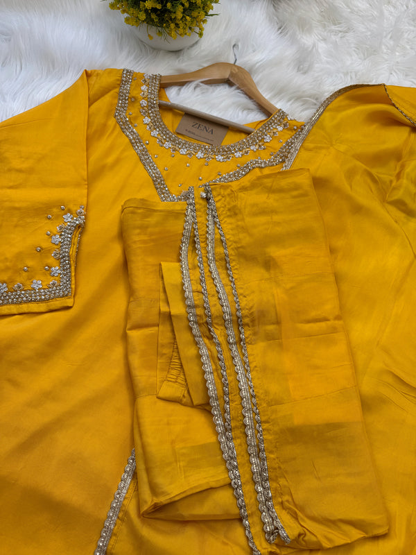 ✨ Organza Handwork Party Wear Set ✨