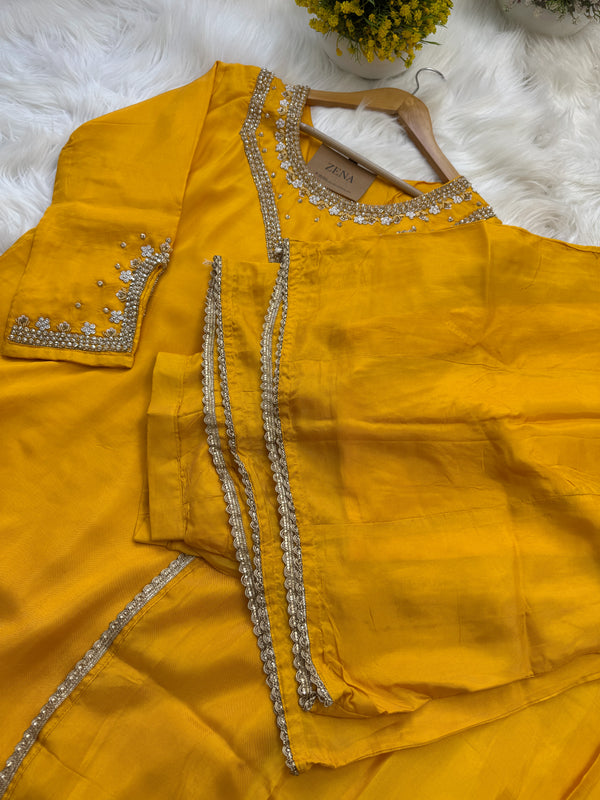 ✨ Organza Handwork Party Wear Set ✨