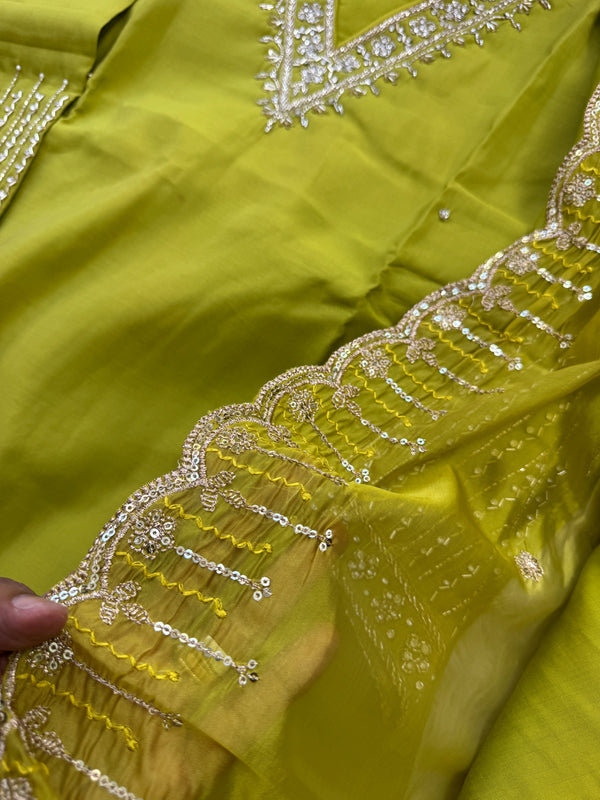 ✨ Organza Handwork Party Wear Kurti Set ✨