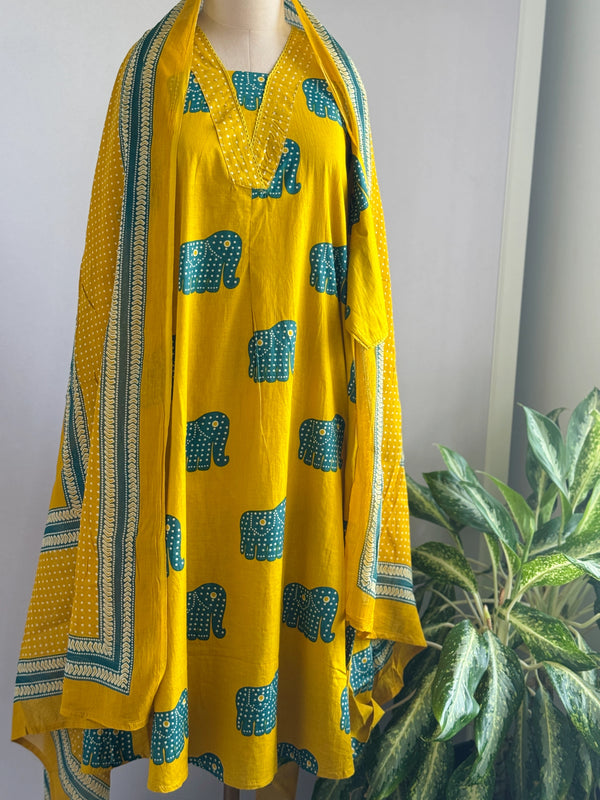 Pure Cotton Kurti Set – Everyday Comfort & Style 🌿
